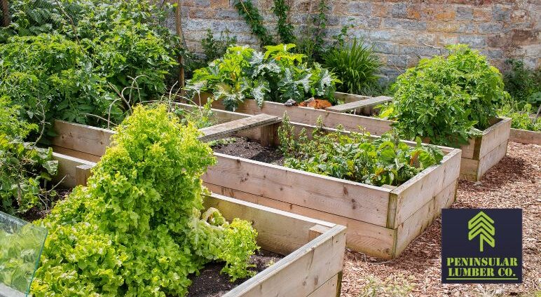 A-Guide-to-Building-a-DIY-Raised-Garden-Bed-with-Quality-Lumber