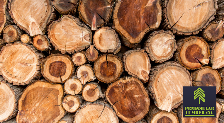 Guide-to-Lumber-Cuts