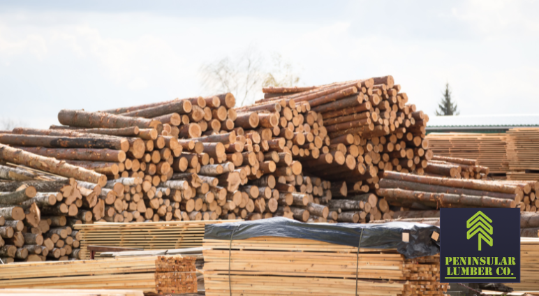 What-is-the-hardest-type-of-wood